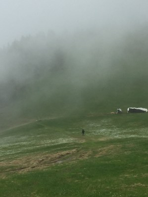 That little black dot is Lukey. He walks fast.