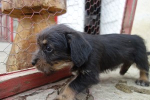 LOOK AT DOSE EYESSS!!