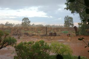 Back in Boggie: a view of the farm that Luke grew up on.